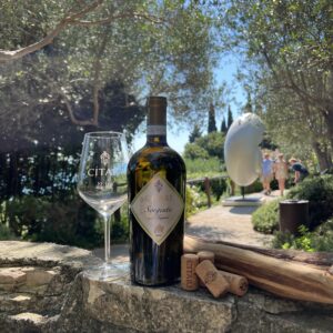 Citari e i Territori del Garda